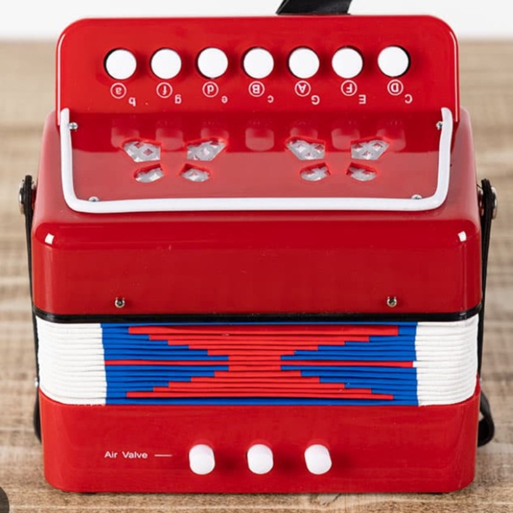 Children’s Accordion “The Classic Accordian”